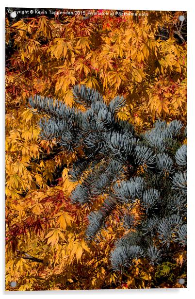  Autumn Gold Acrylic by Kevin Tappenden