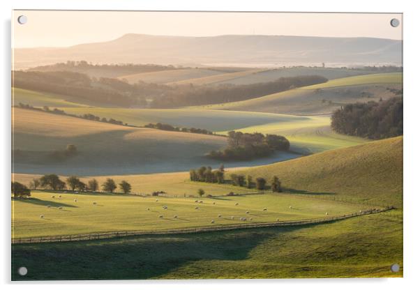 South Downs view towards Ashcombe Mill Acrylic by Trevor Sherwin