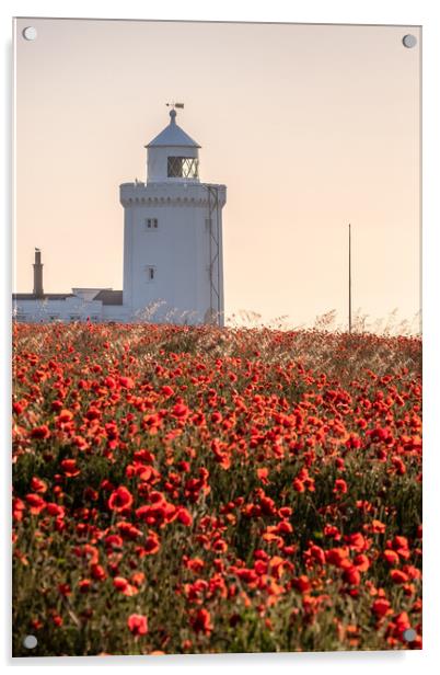 Poppy field in Dover Acrylic by Trevor Sherwin