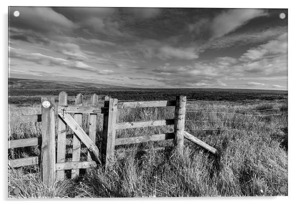 Peak District moors near the Cat and Fiddle Acrylic by Chris Warham