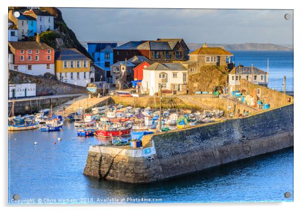 Mevagissey Harbour in evening light Acrylic by Chris Warham