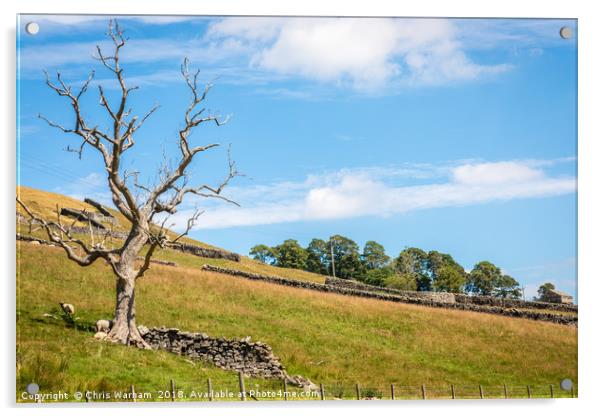 Swaledale - tree and hillside. Acrylic by Chris Warham