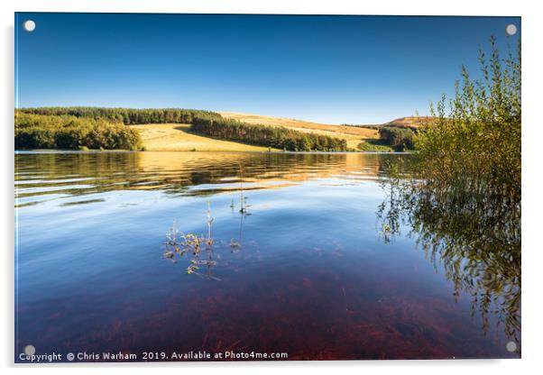 Errwood Reservoir - Goyt Valley, Derbyshire Acrylic by Chris Warham