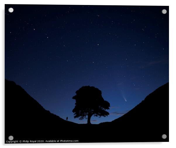 Stargazing Comets at Sycamore Gap, Northumberland Acrylic by Philip Royal