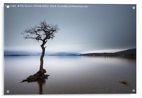 Lone Tree - Loch Lomond Acrylic by Phil Durkin DPAGB BPE4