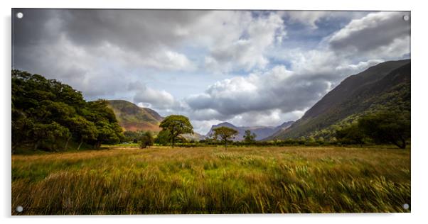 Buttermere Panoramic  Acrylic by Phil Durkin DPAGB BPE4