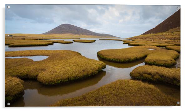 Northton Salt Flats Isle Of Harris Outer Hebrides Acrylic by Phil Durkin DPAGB BPE4