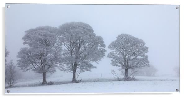  Oak trees In The Snow Acrylic by Phil Durkin DPAGB BPE4