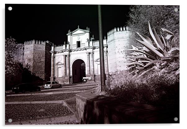 Infrared photography 1 Acrylic by Jose Manuel Espigares Garc