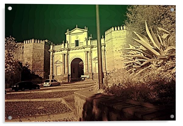 Infrared photography 2 Acrylic by Jose Manuel Espigares Garc