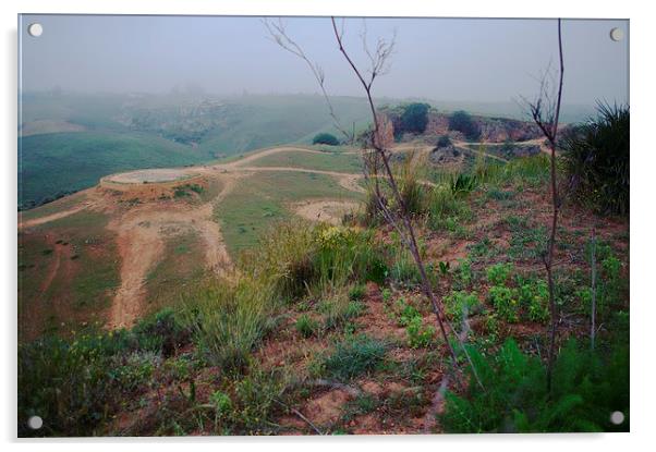 Landscpe near Carmona 2 Acrylic by Jose Manuel Espigares Garc
