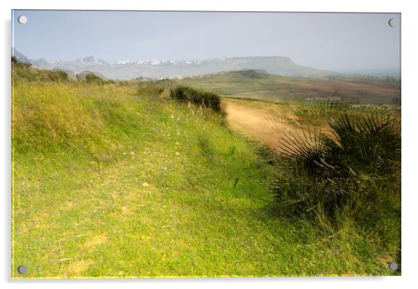 Landscapes of Carmona - Seville - The so called Alcor Acrylic by Jose Manuel Espigares Garc