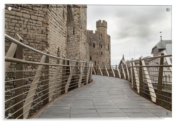 Walkway To The Castle Acrylic by Pete Holyoak