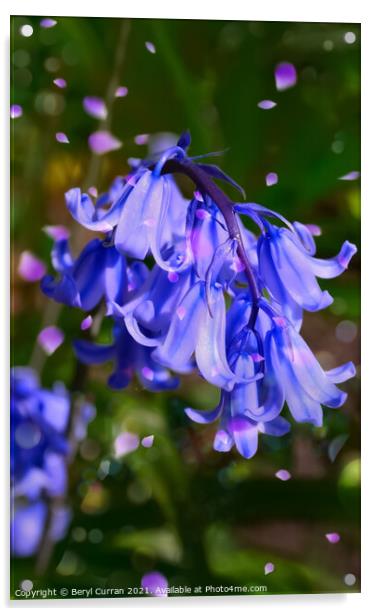 Enchanting Bluebells Acrylic by Beryl Curran