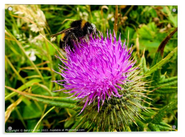 The Purple Pollinator Acrylic by Beryl Curran