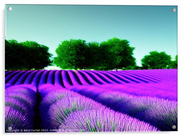 Lavender Bliss Acrylic by Beryl Curran