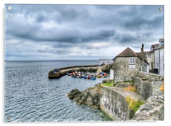 Picturesque Coverack Harbour Acrylic by Beryl Curran