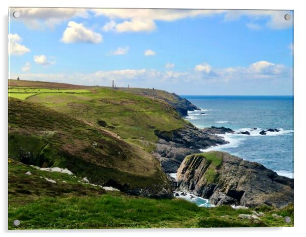 Levant mine Pendeen  Acrylic by Beryl Curran