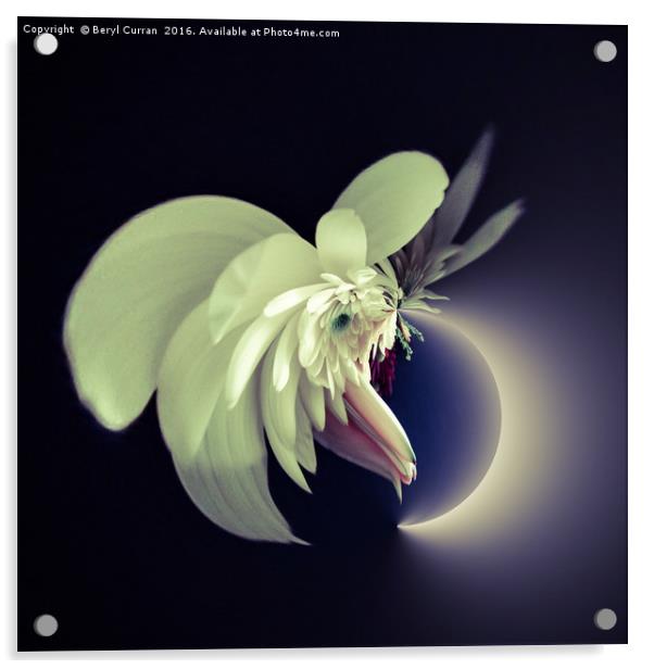 Enchanted Lunar Bouquet Acrylic by Beryl Curran