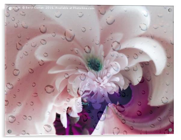Dainty Daisies in the Rain Acrylic by Beryl Curran