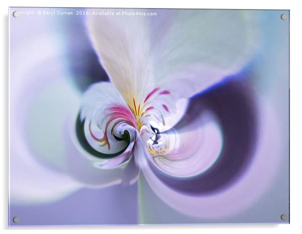 Graceful Petals Acrylic by Beryl Curran