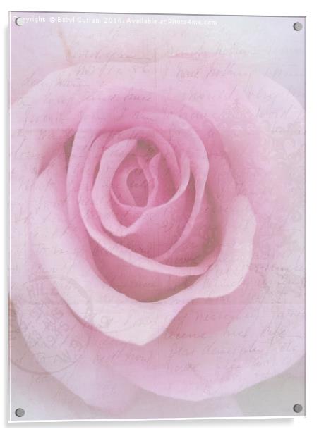 Sweethearts Rose Love Letter Acrylic by Beryl Curran