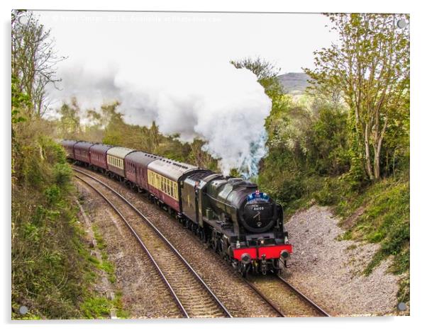 Majestic Steam Train through Cornish Countryside Acrylic by Beryl Curran