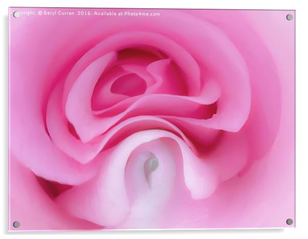 Pink Ladys Graceful Elegance Acrylic by Beryl Curran