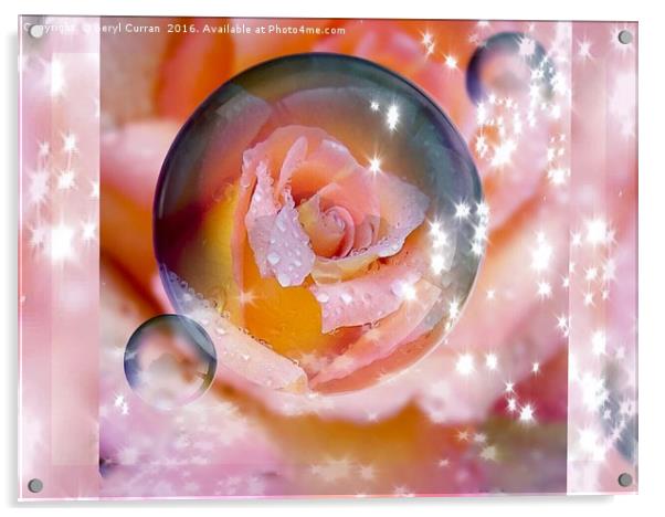 Enchanted Rose Bubble Acrylic by Beryl Curran