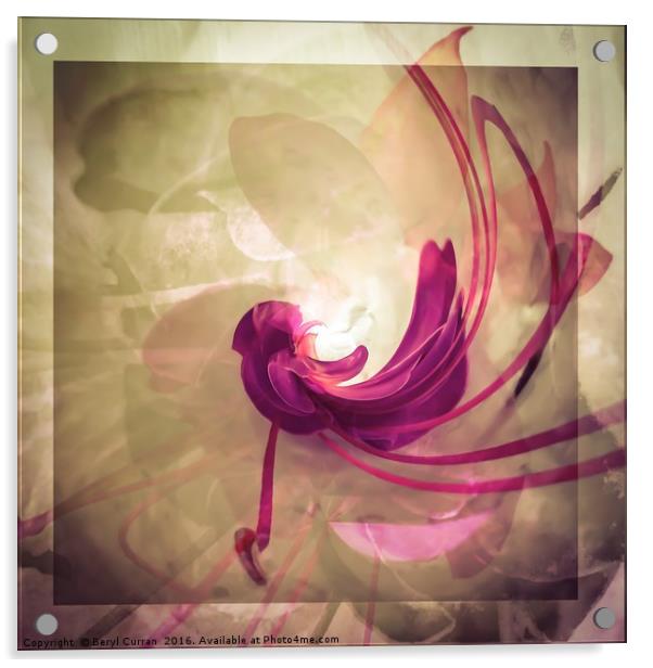 Fuchsia Dance Acrylic by Beryl Curran