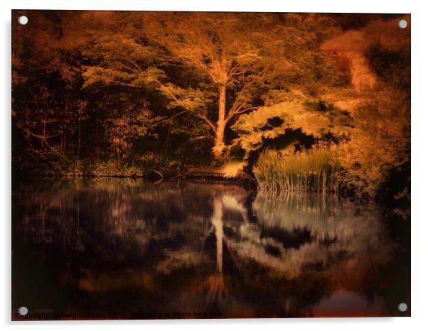 Serene Reflection Acrylic by Beryl Curran