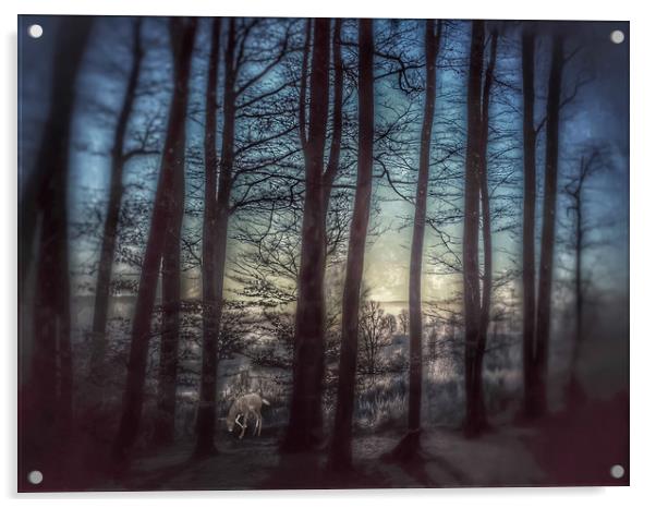 Enchanting Winter Forest Scene Acrylic by Beryl Curran