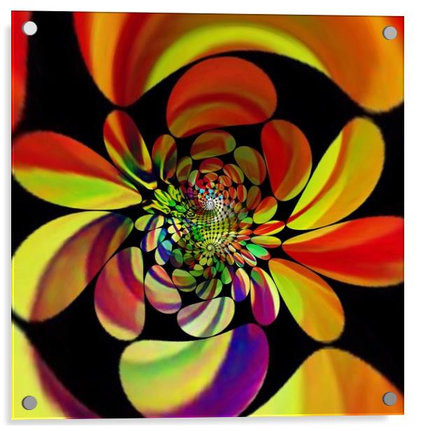 Floral Fantasia Acrylic by Beryl Curran