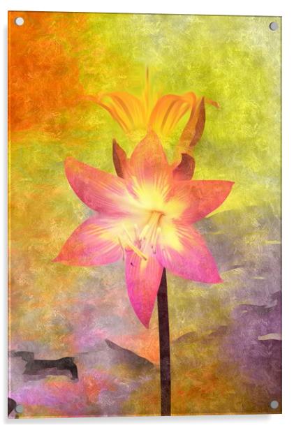 Vivid  Lily Acrylic by Beryl Curran