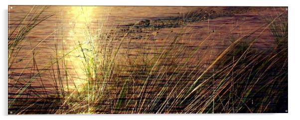 Golden Twilight on Hayle Beach Acrylic by Beryl Curran