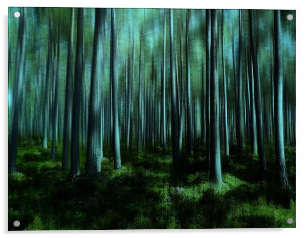 Serene Springtime Woods Acrylic by Beryl Curran
