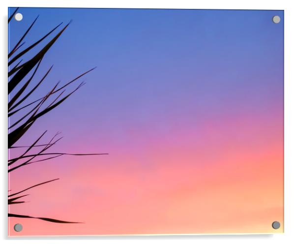 Romantic Sunset Palms Acrylic by Beryl Curran