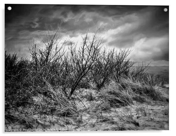 Wild and Monochromatic Hayle Beach Acrylic by Beryl Curran