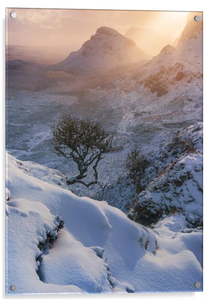 Winter Skye Acrylic by John Finney