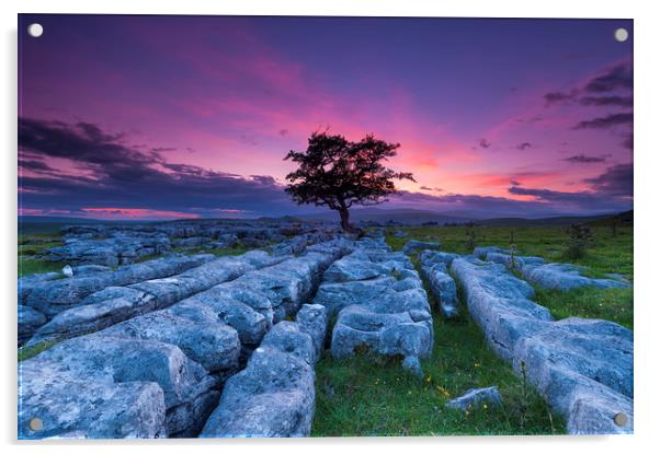 Winskill Stones  Acrylic by John Finney