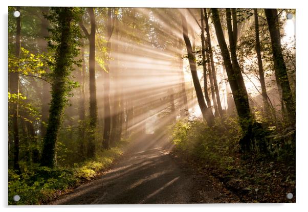 Morning rays, Castleton  Acrylic by John Finney