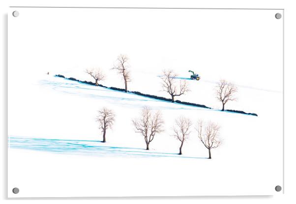 Winter trees  Acrylic by John Finney