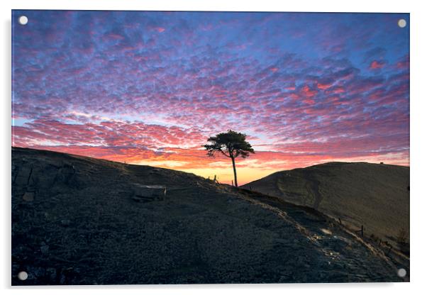 Back Tor Tree sunrise, Peak District. UK Acrylic by John Finney