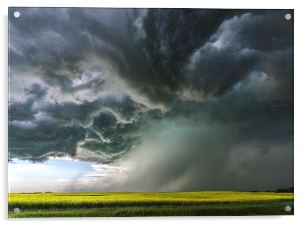 Canola Thunderstorm, Canada Acrylic by John Finney