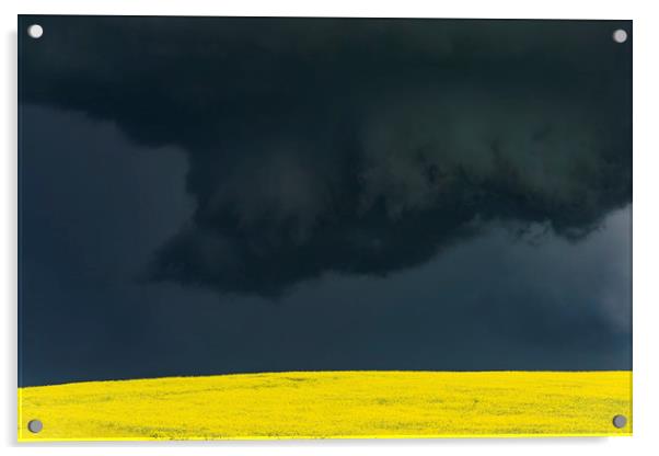 Tornadic Thunderstorm over Canola Acrylic by John Finney