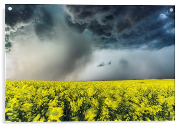 Canola Thunderstorm, Canada  Acrylic by John Finney