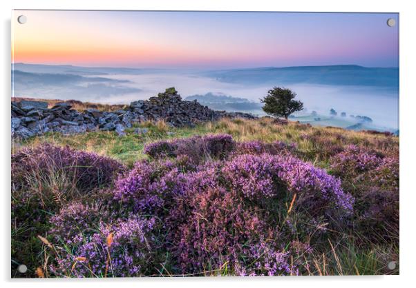 Purple Landscape of the Peak District Acrylic by John Finney