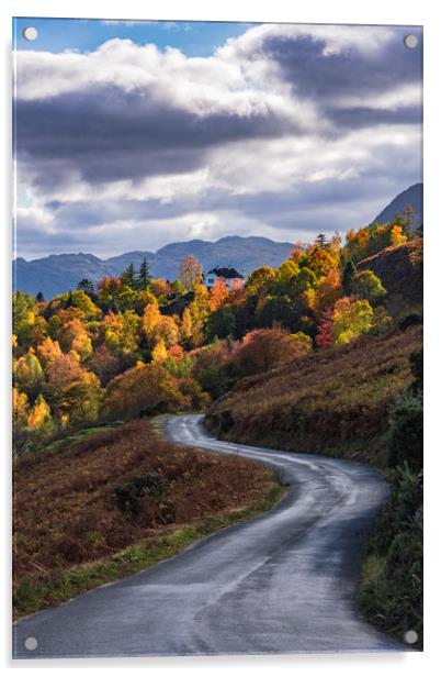 Autumnal Lake District Acrylic by John Finney