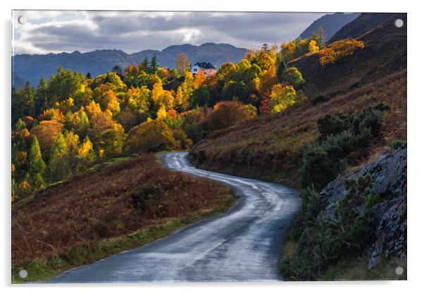 Autumnal Lake District  Acrylic by John Finney