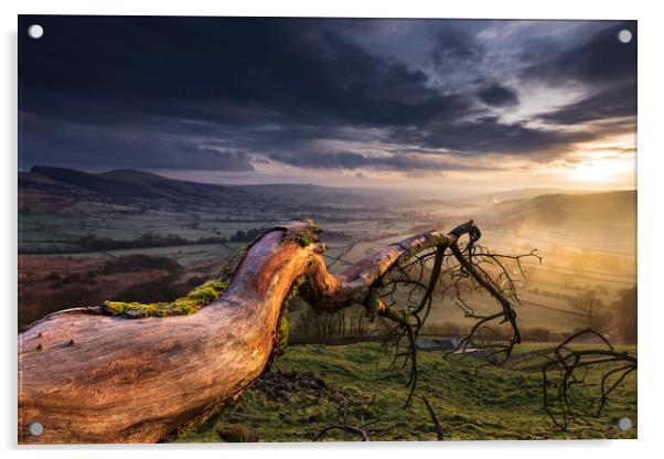 Hope Valley, Fallen tree sunrise Acrylic by John Finney